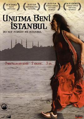 伊斯坦布尔，请不要将我遗忘<