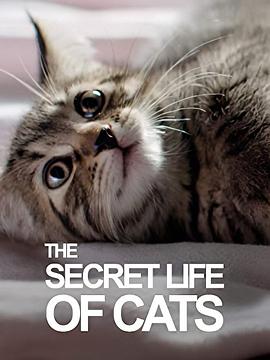 BBC地平线：猫的秘密生活<