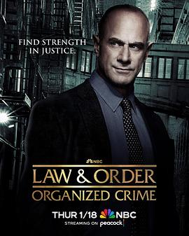 法律与秩序：组织犯罪第四季<