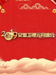 2019安徽卫视元宵晚会<