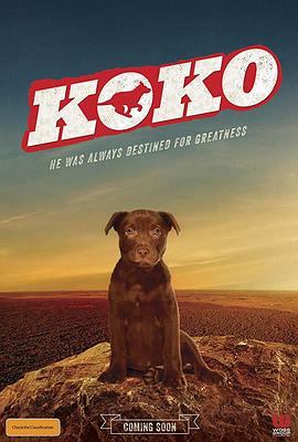 Koko:红犬历险记<